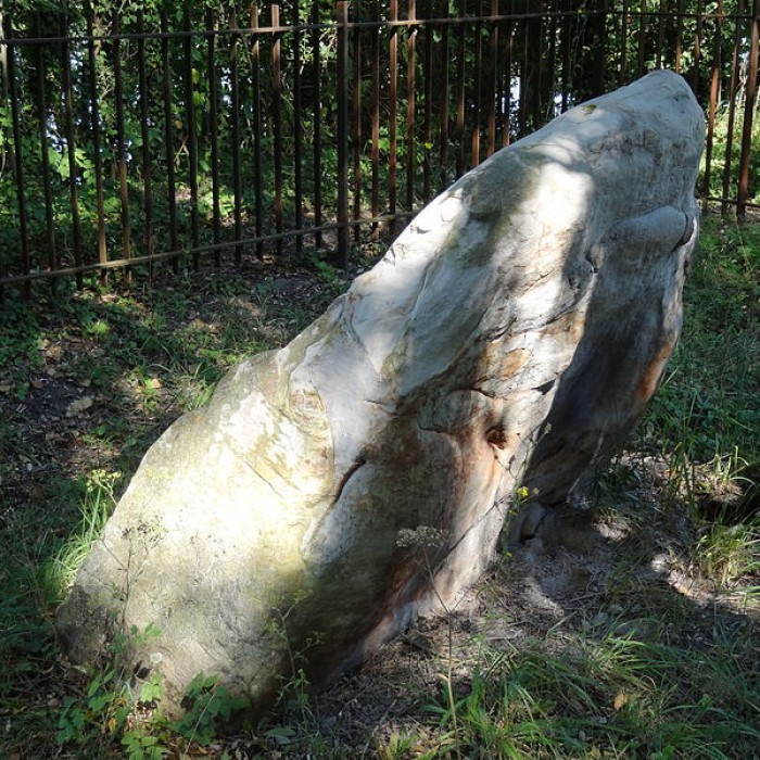Photo de Pierre Beaumirault de Bruyères-le-Châtel