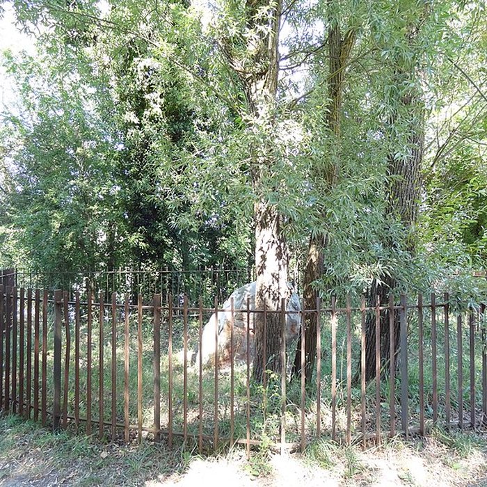 Photo de Pierre Beaumirault de Bruyères-le-Châtel