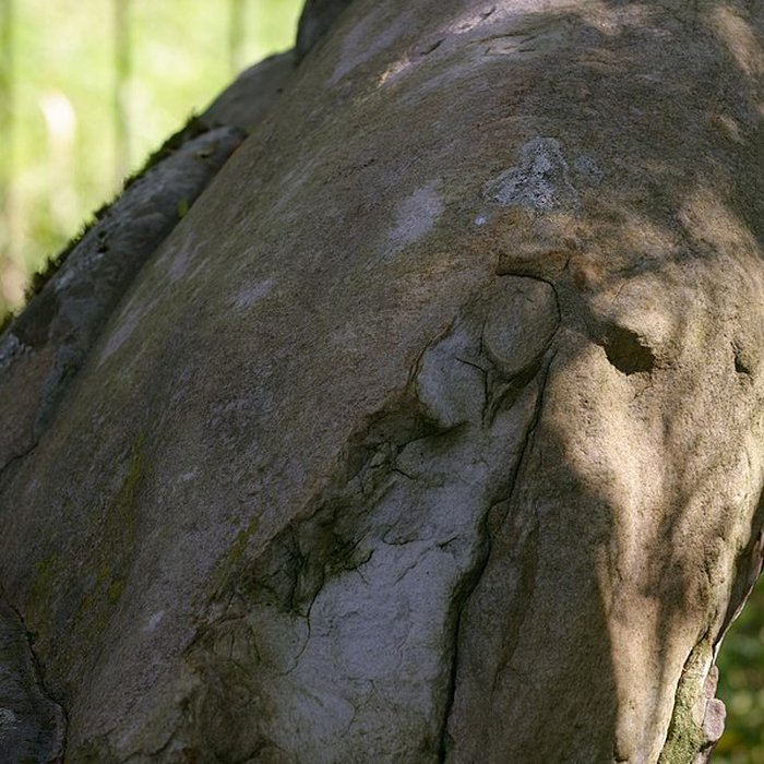 Photo de Pierre Beaumirault de Bruyères-le-Châtel