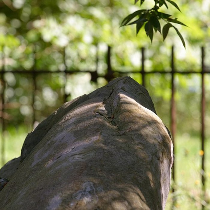 Photo de Pierre Beaumirault de Bruyères-le-Châtel