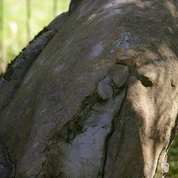 Pierre Beaumirault de Bruyères-le-Châtel