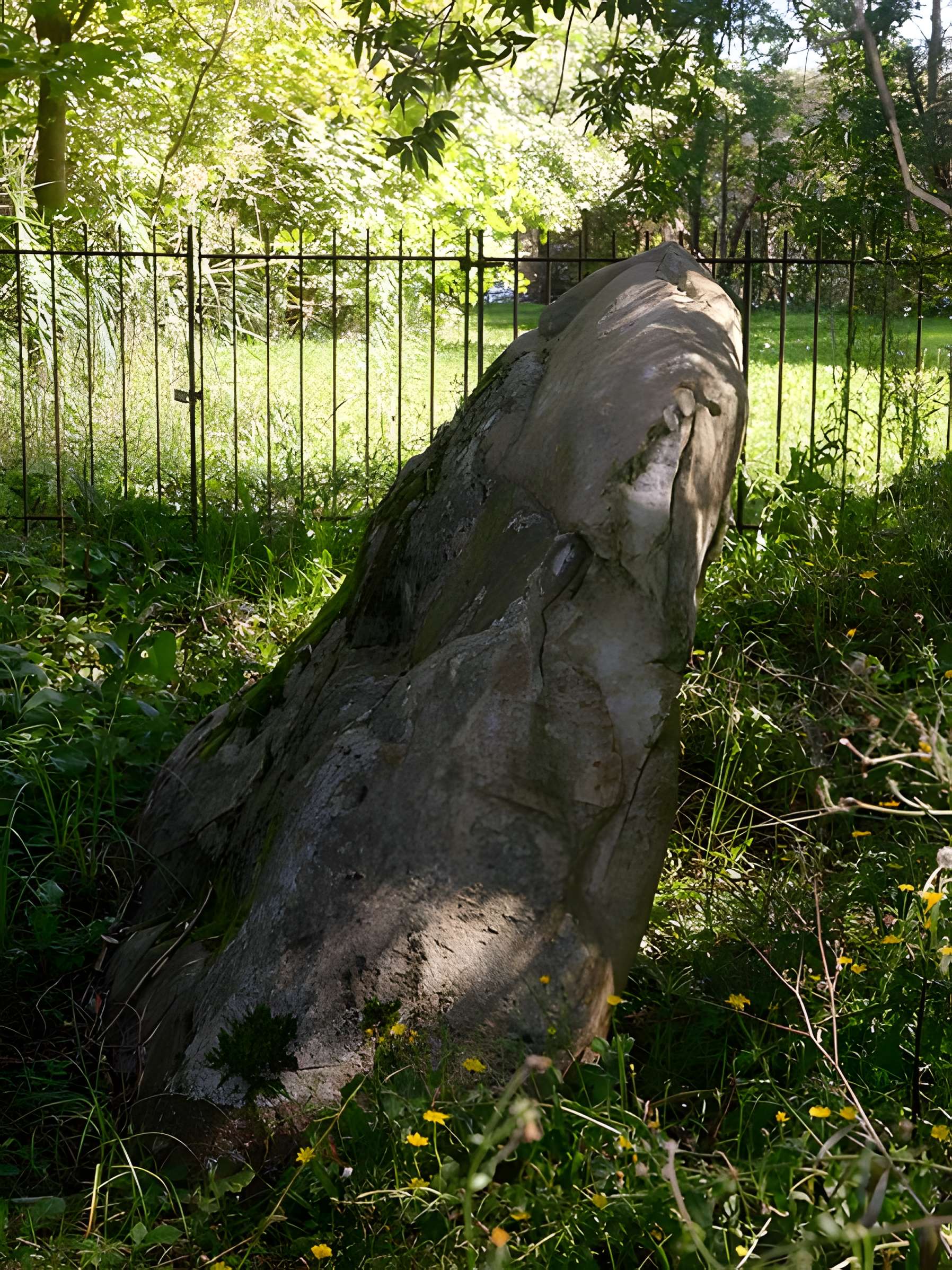 Pierre Beaumirault de Bruyères-le-Châtel