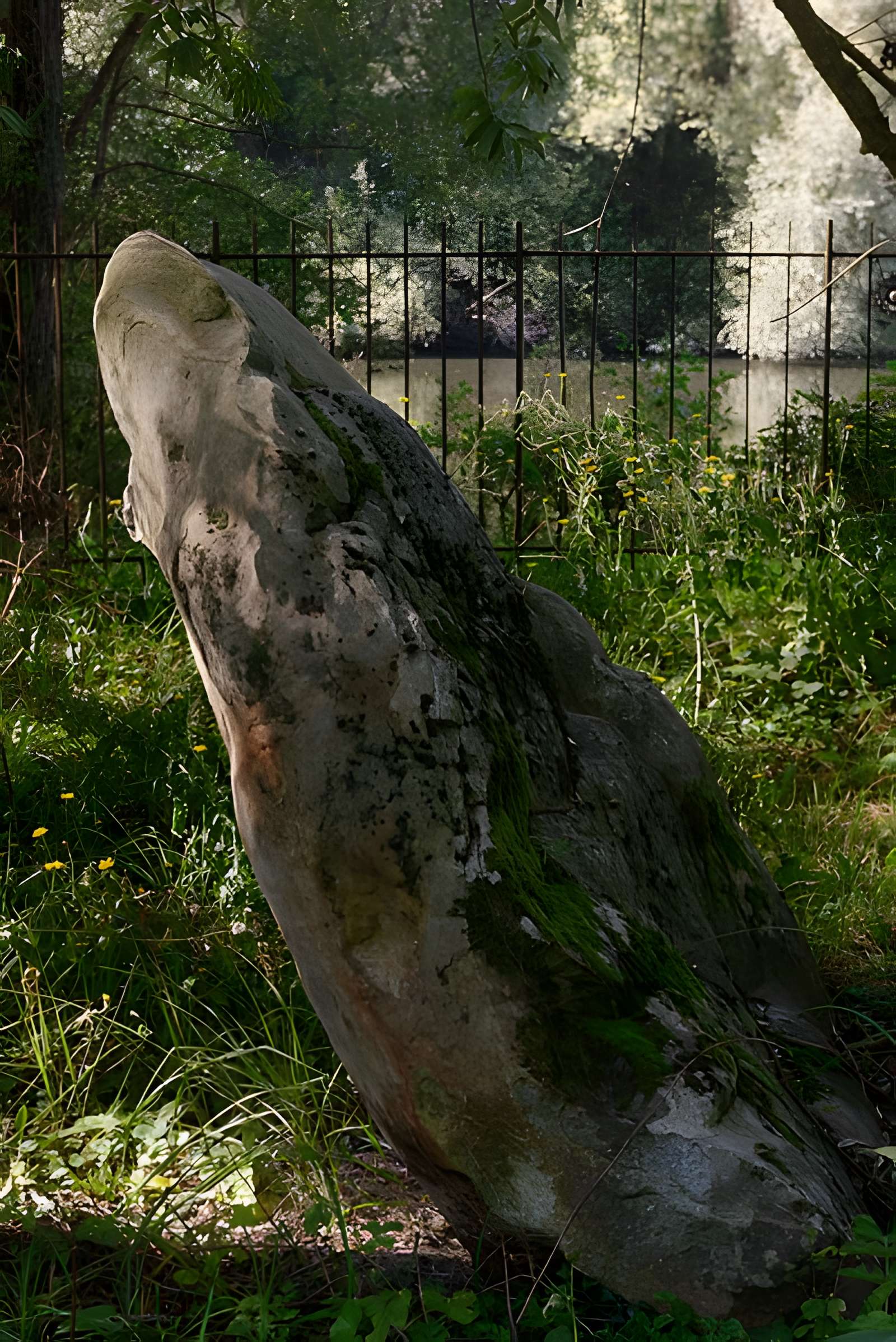 Pierre Beaumirault de Bruyères-le-Châtel