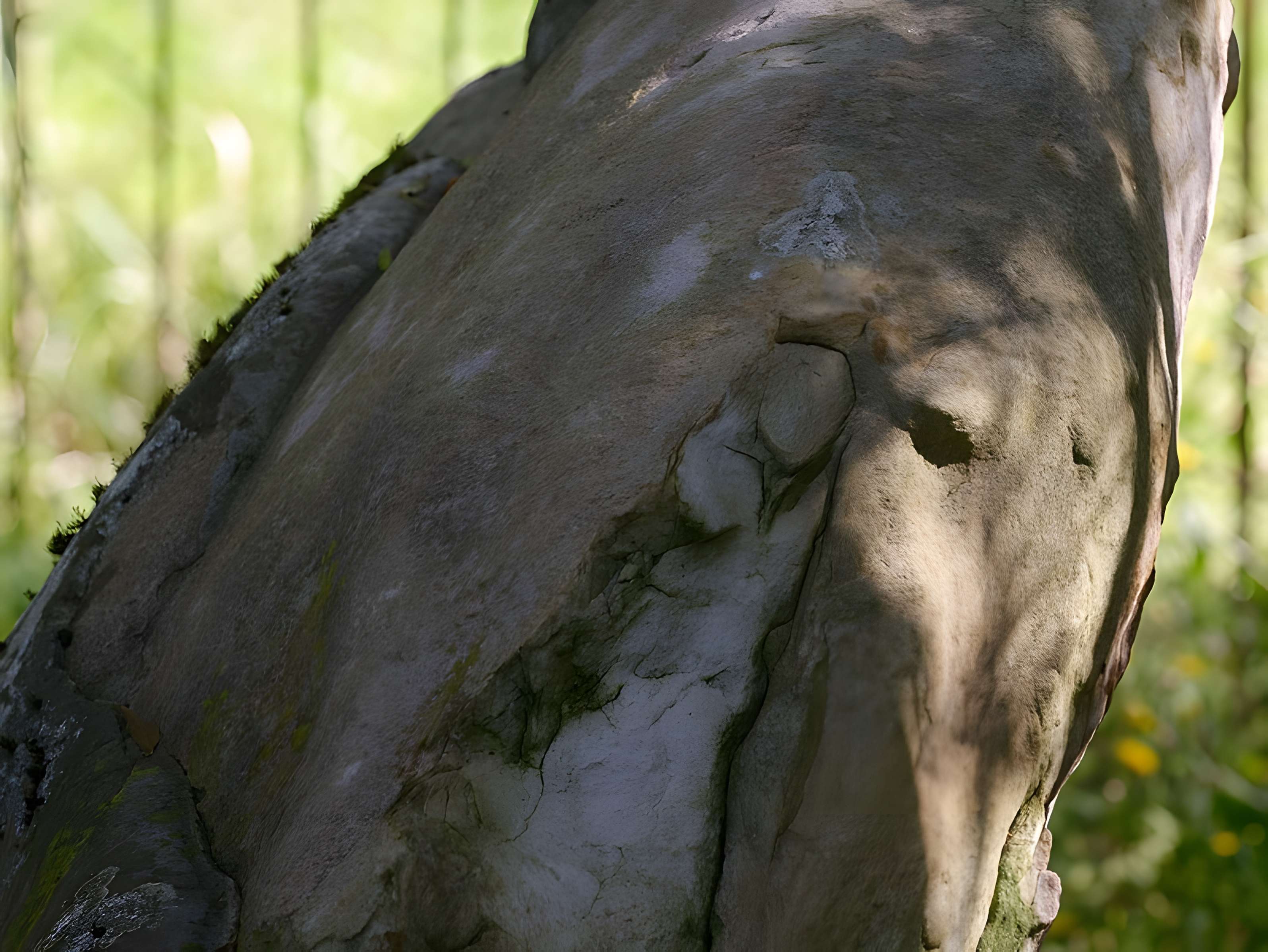 Pierre Beaumirault de Bruyères-le-Châtel