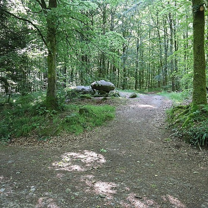 Photo de Pierre courcoulée de Landéan