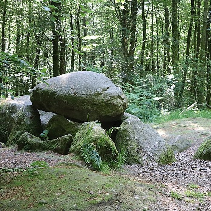 Photo de Pierre courcoulée de Landéan