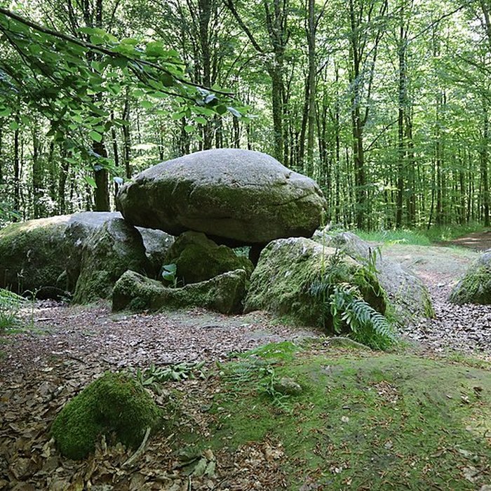 Photo de Pierre courcoulée de Landéan