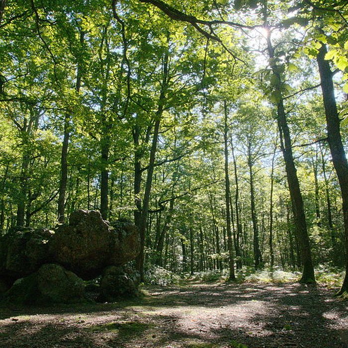 Photo de Dolmen dit La Pierre Courcoulée