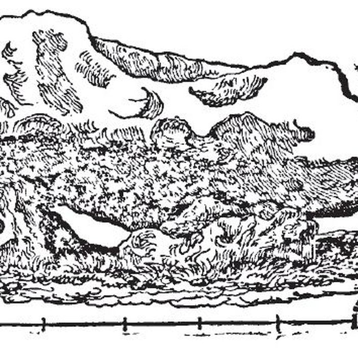 Photo de Dolmen dit La Pierre Courcoulée