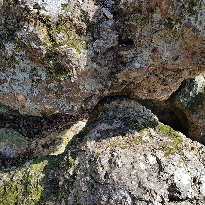 Photo de Dolmen dit La Pierre Courcoulée