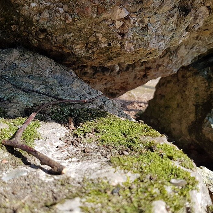 Photo de Dolmen dit La Pierre Courcoulée