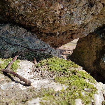 Dolmen dit La Pierre Courcoulée
