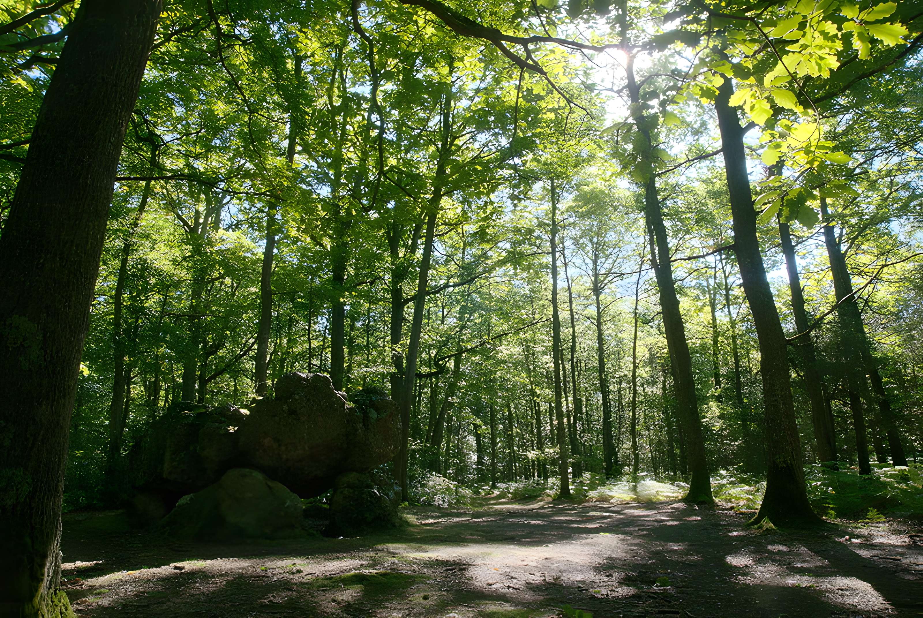 Dolmen dit La Pierre Courcoulée