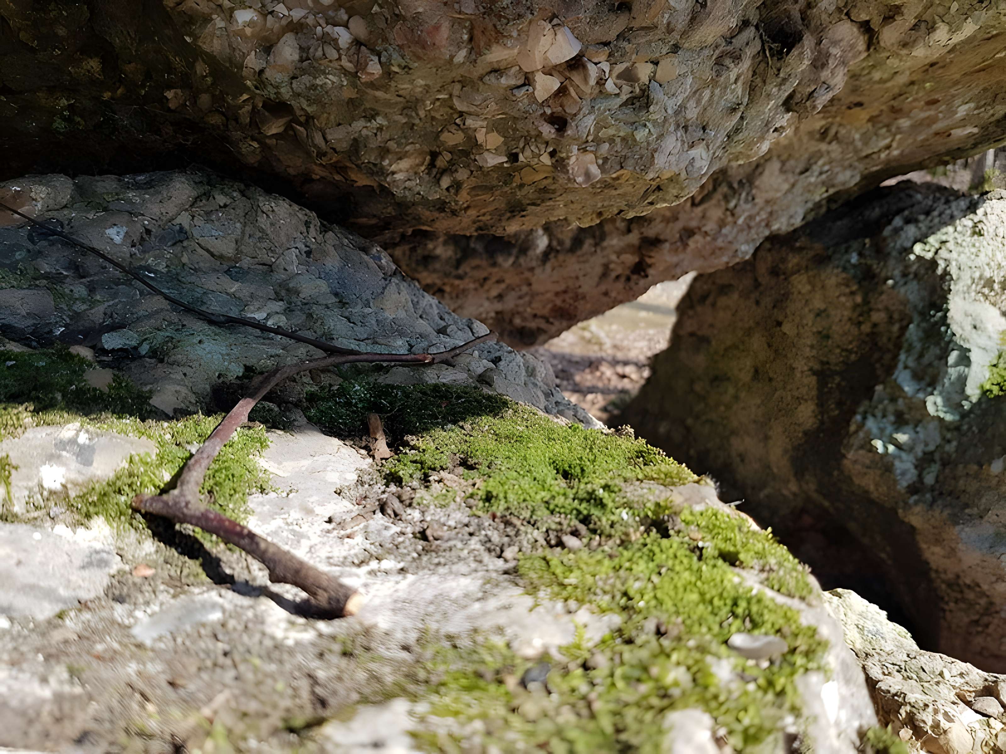 Dolmen dit La Pierre Courcoulée