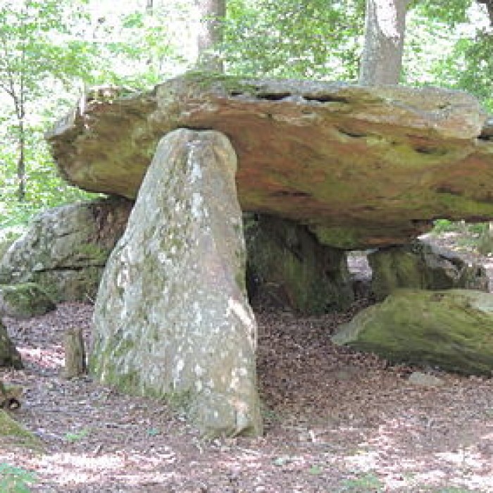Photo de Pierre couverte de Bué à Bagneux