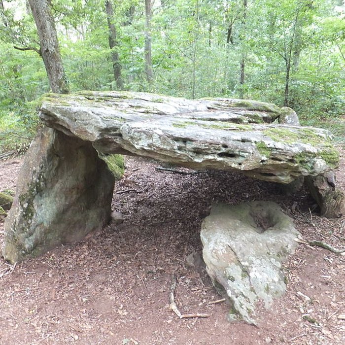 Photo de Pierre couverte de Bué à Bagneux