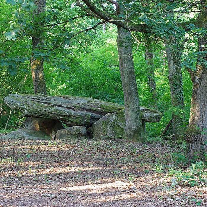 Photo de Pierre couverte de Bué à Bagneux