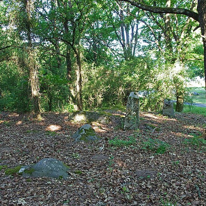 Photo de Pierre couverte de Bué à Bagneux