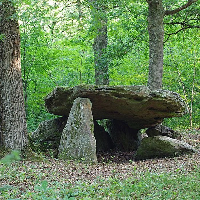Photo de Pierre couverte de Bué à Bagneux
