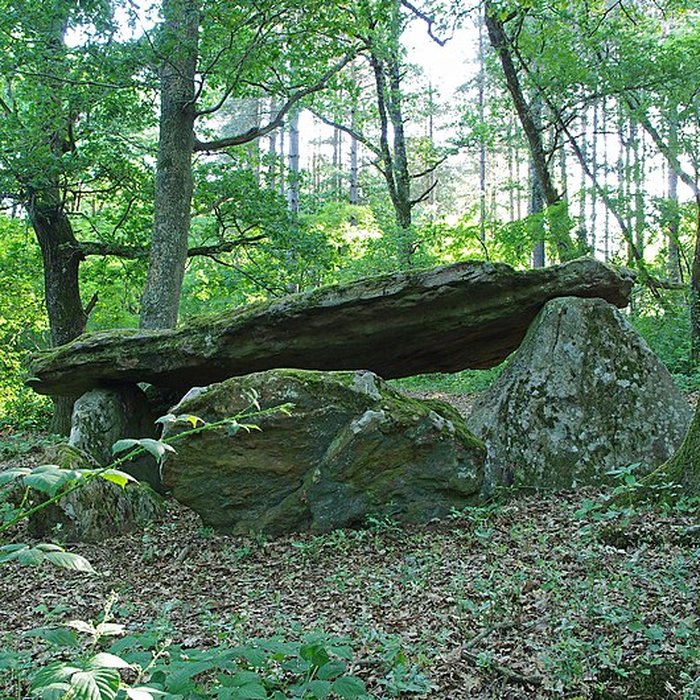 Photo de Pierre couverte de Bué à Bagneux