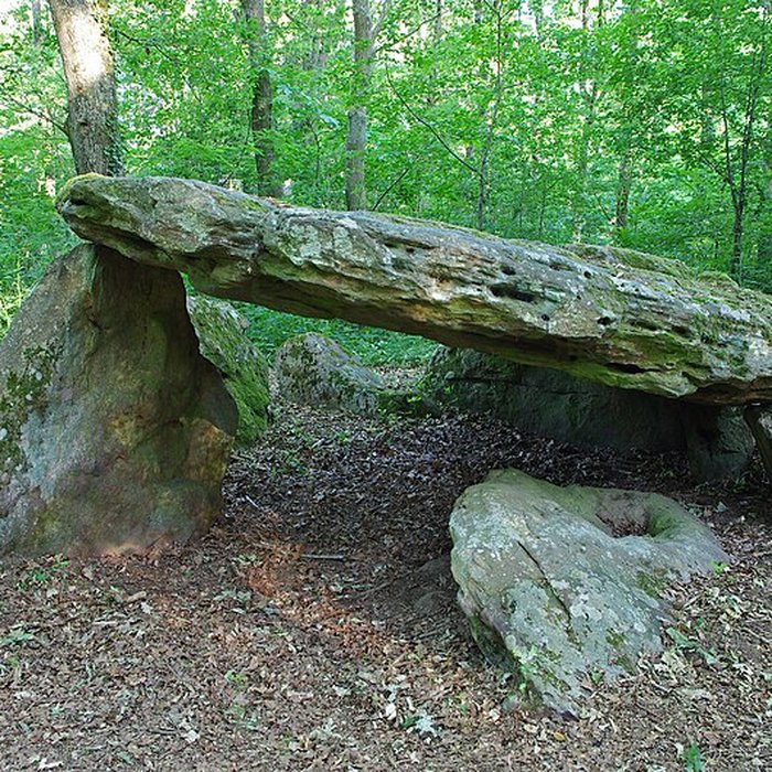 Photo de Pierre couverte de Bué à Bagneux