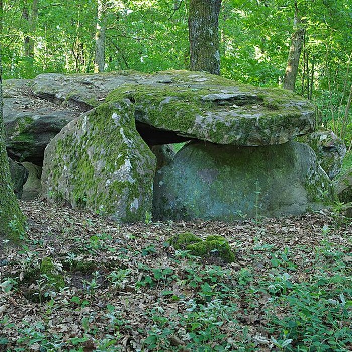 Photo de Pierre couverte de Bué à Bagneux
