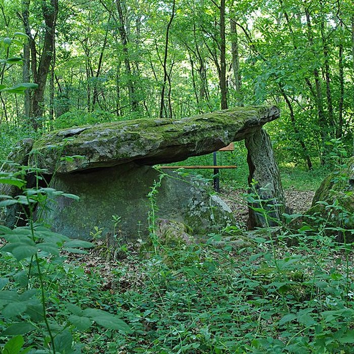 Photo de Pierre couverte de Bué à Bagneux