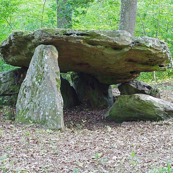 Photo de Pierre couverte de Bué à Bagneux