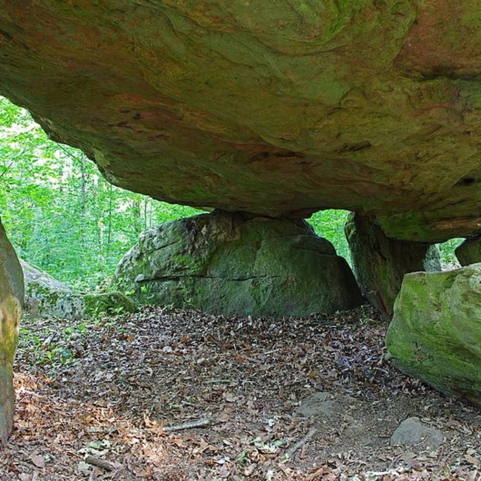 Photo de Pierre couverte de Bué à Bagneux