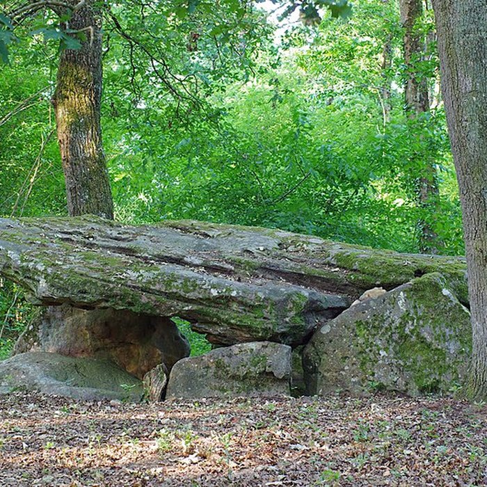 Photo de Pierre couverte de Bué à Bagneux
