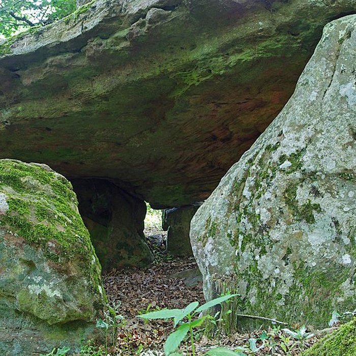 Photo de Pierre couverte de Bué à Bagneux