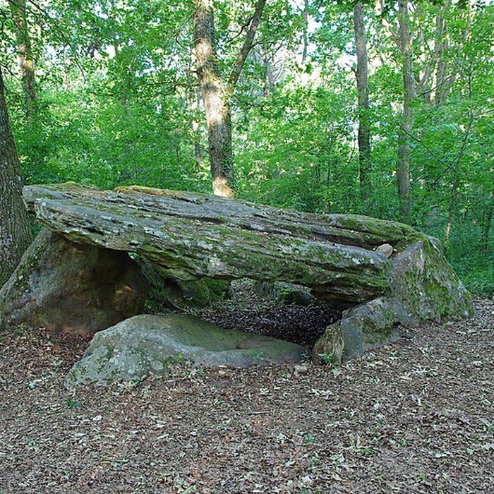 Photo de Pierre couverte de Bué à Bagneux