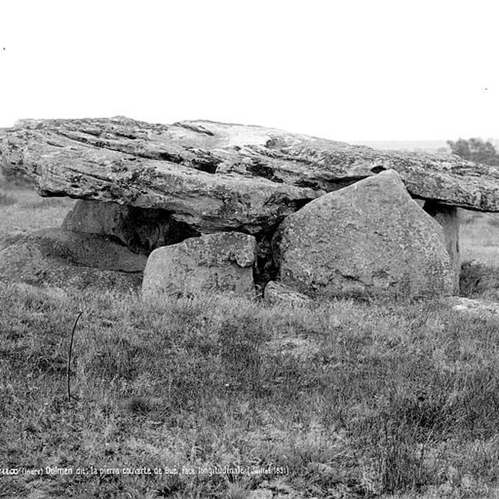 Photo de Pierre couverte de Bué à Bagneux