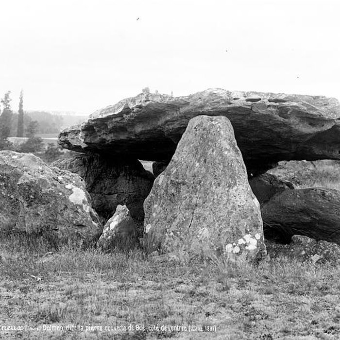 Photo de Pierre couverte de Bué à Bagneux