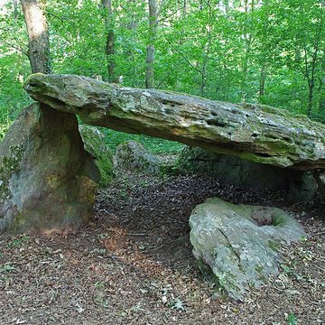 Pierre couverte de Bué à Bagneux