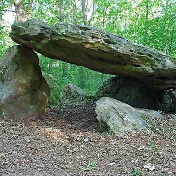 Pierre couverte de Bué à Bagneux