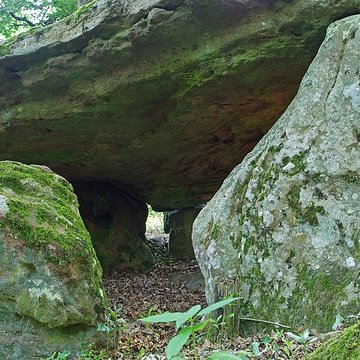 Pierre couverte de Bué à Bagneux