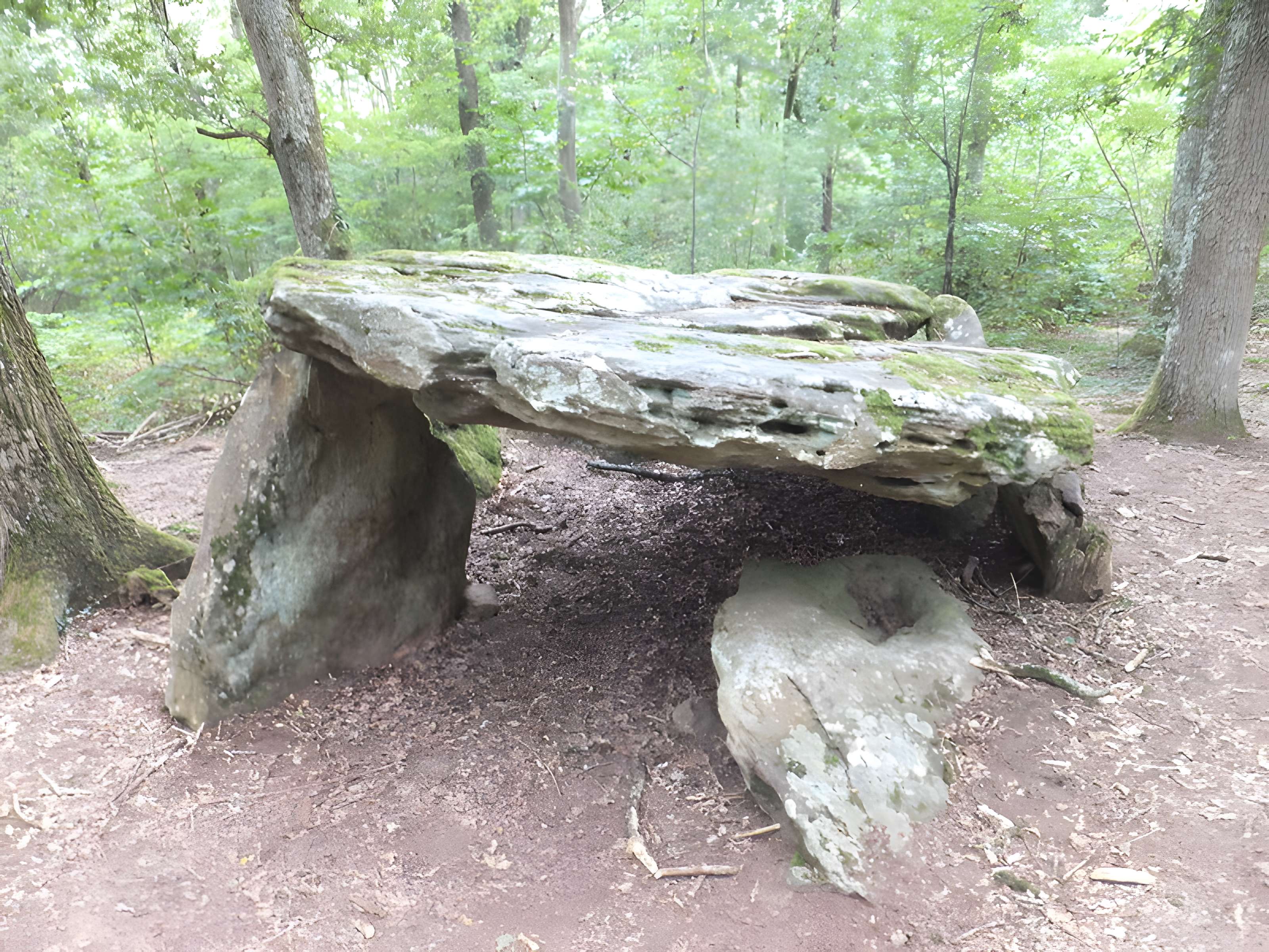 Pierre couverte de Bué à Bagneux