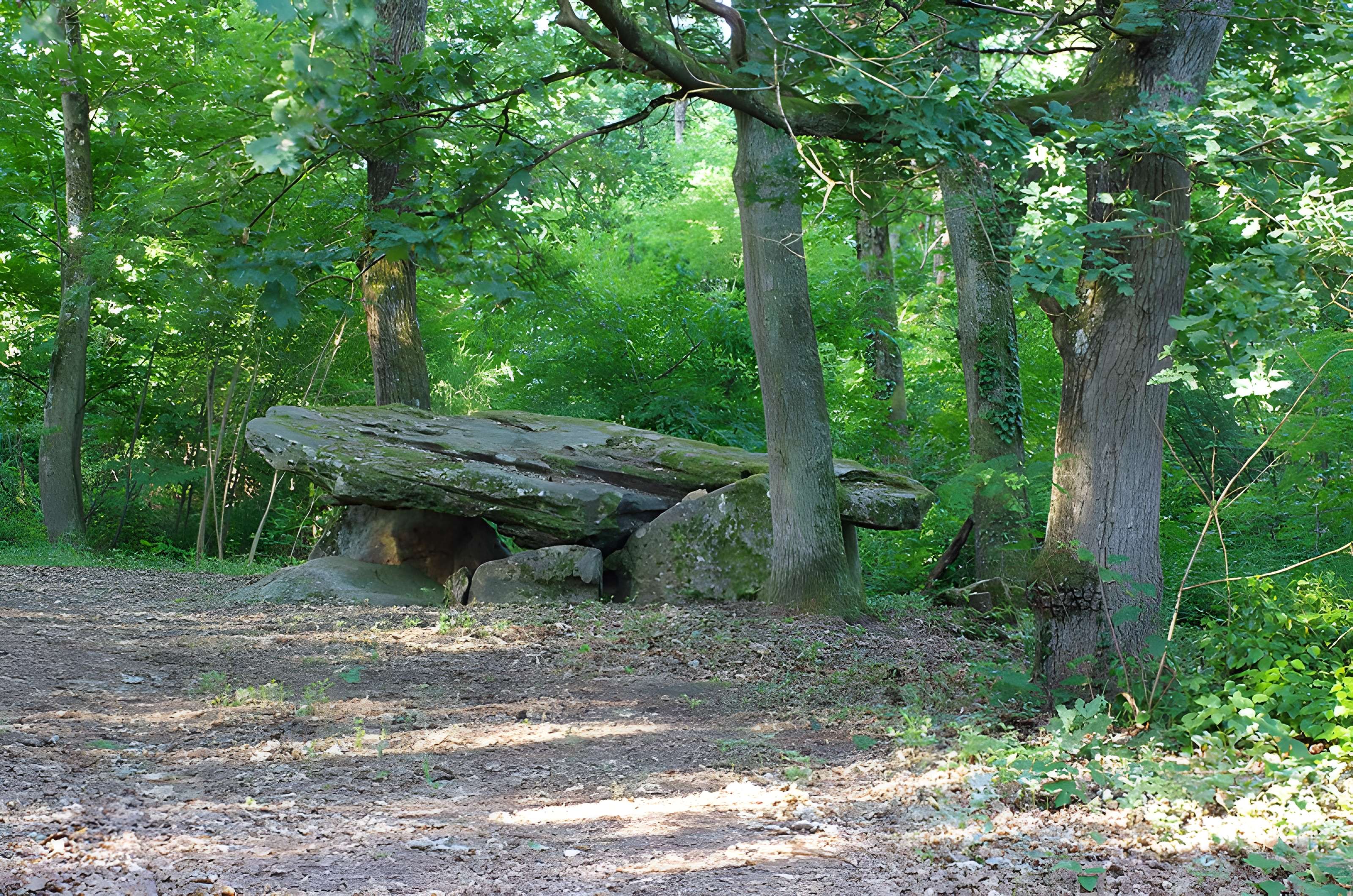 Pierre couverte de Bué à Bagneux