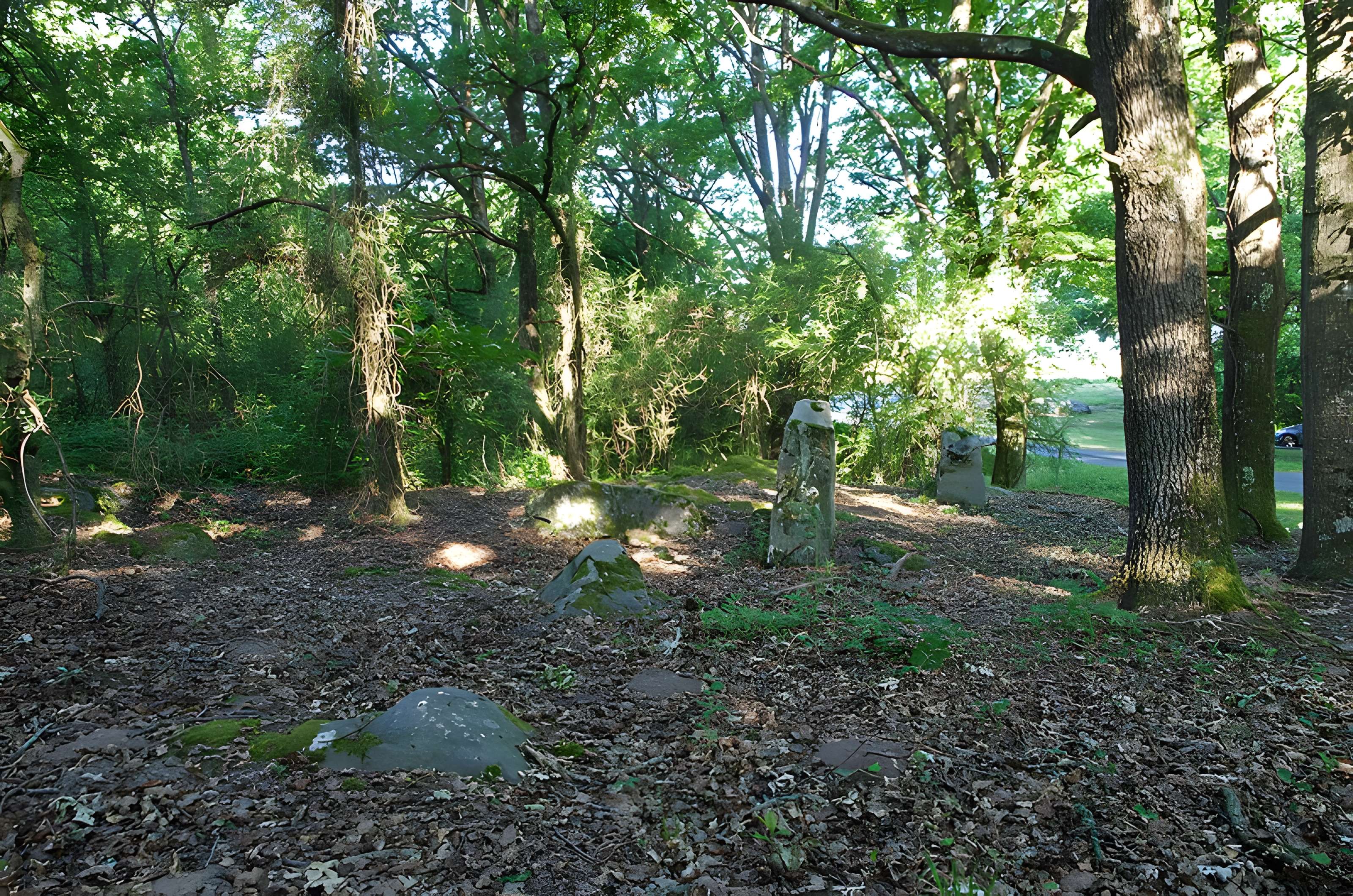 Pierre couverte de Bué à Bagneux