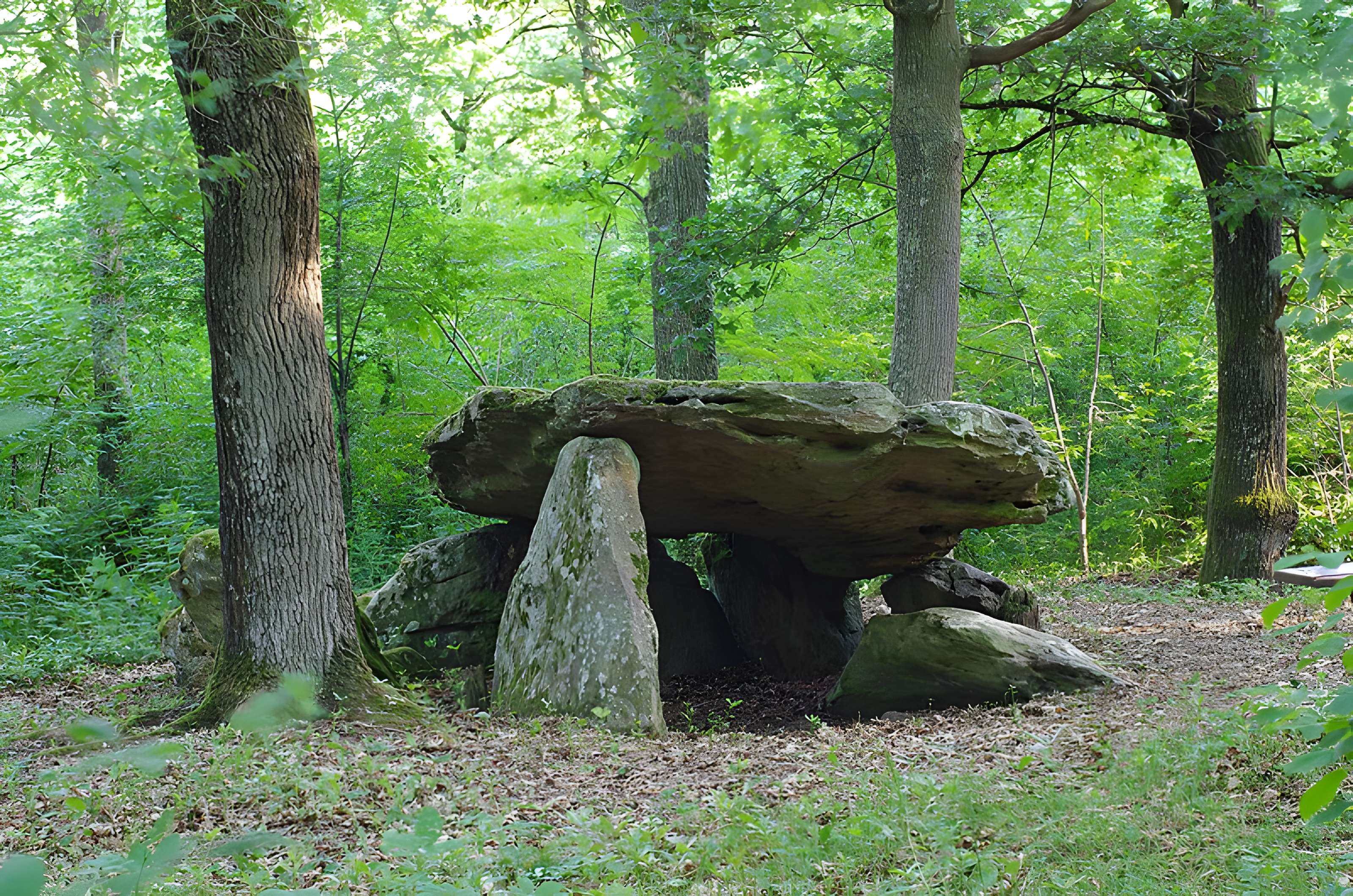 Pierre couverte de Bué à Bagneux
