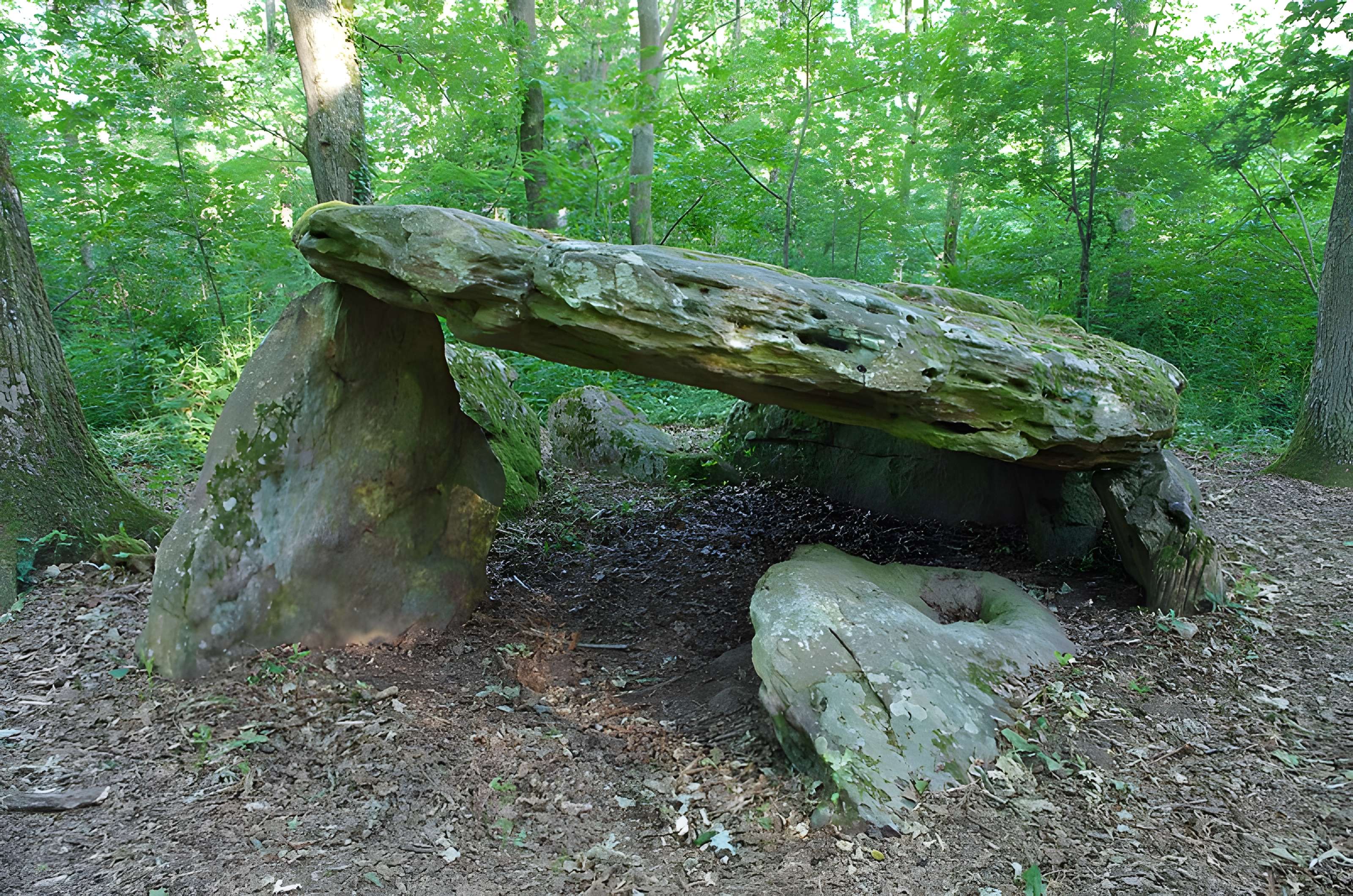 Pierre couverte de Bué à Bagneux