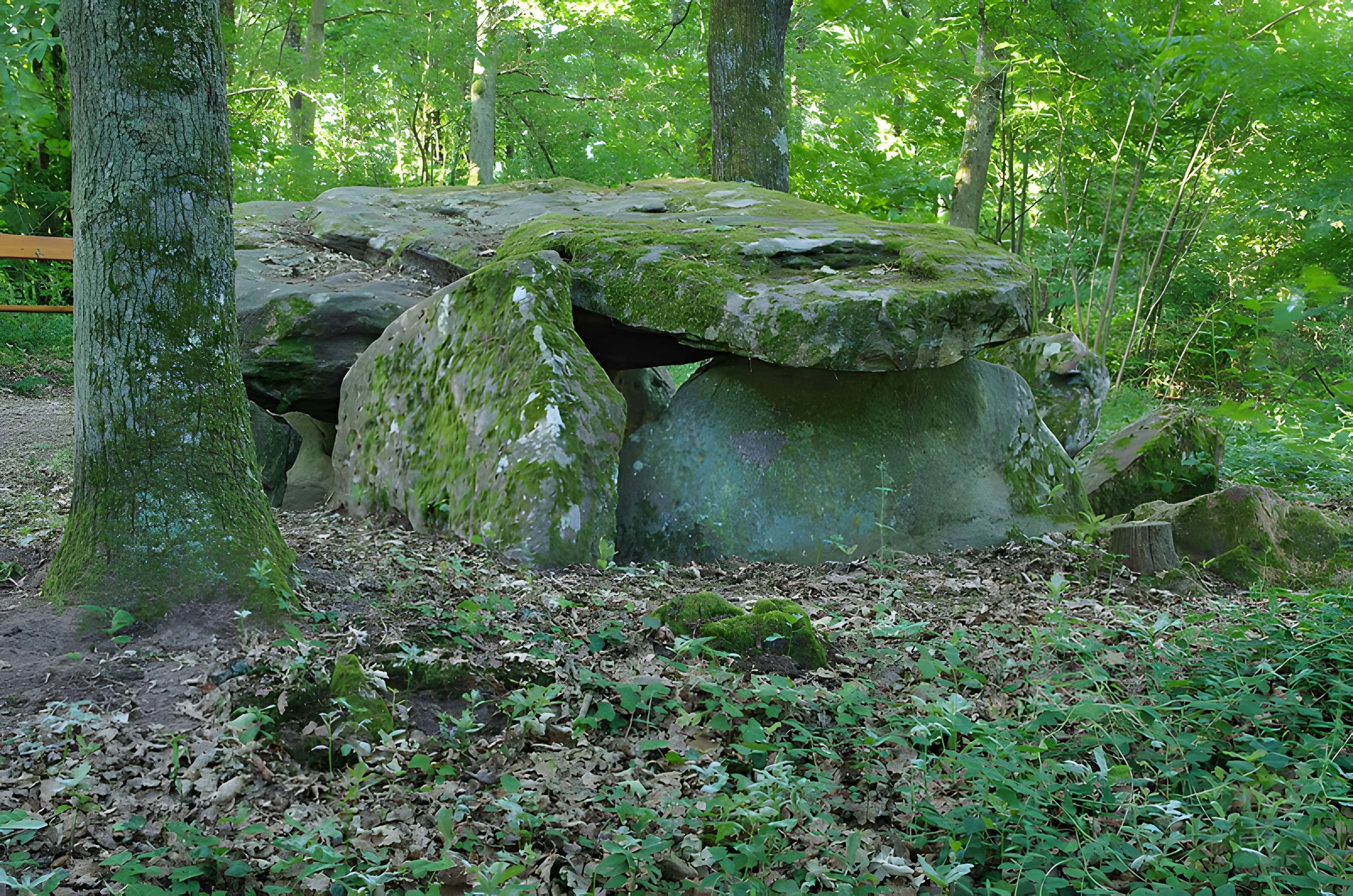 Pierre couverte de Bué à Bagneux