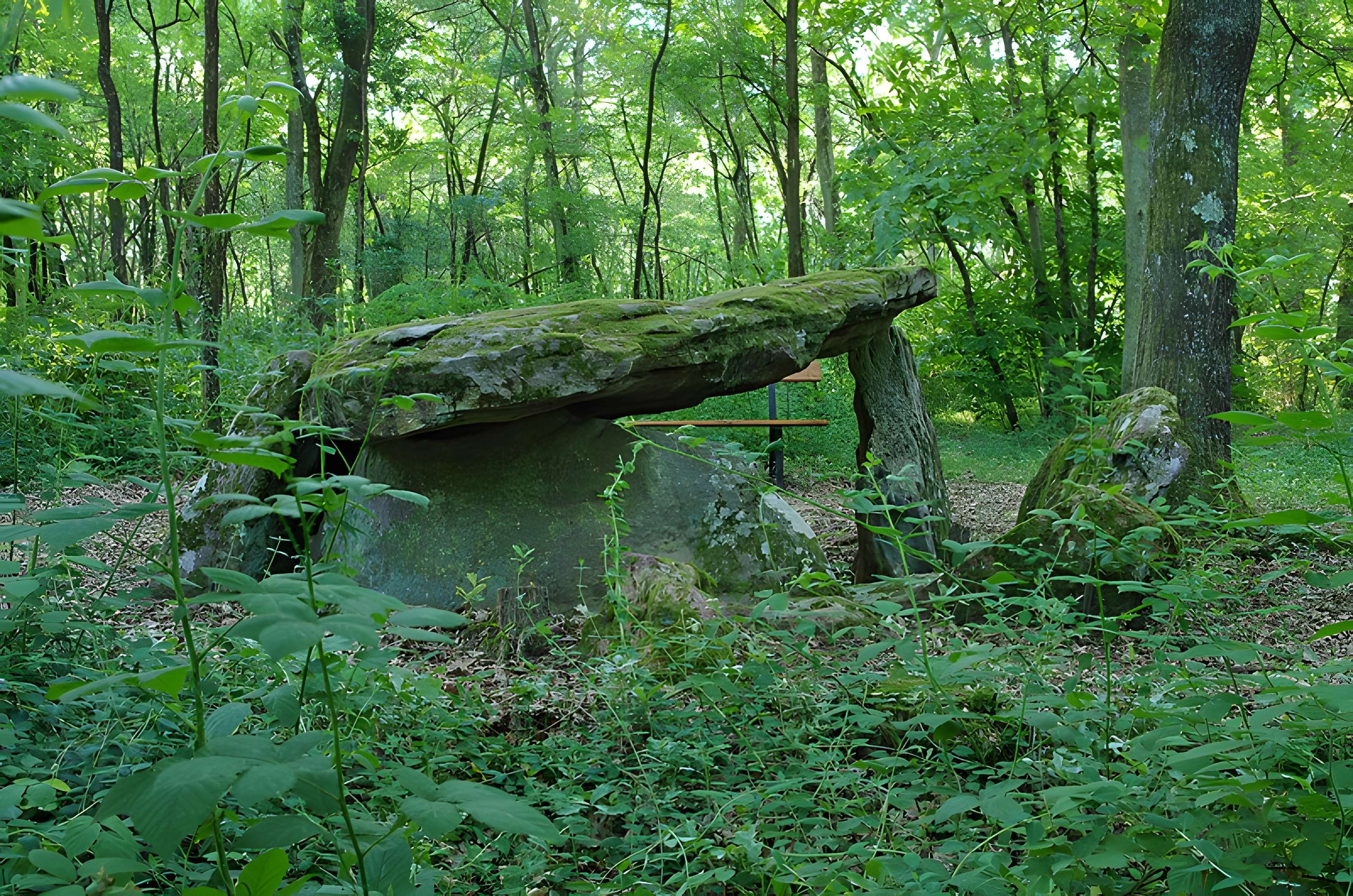 Pierre couverte de Bué à Bagneux