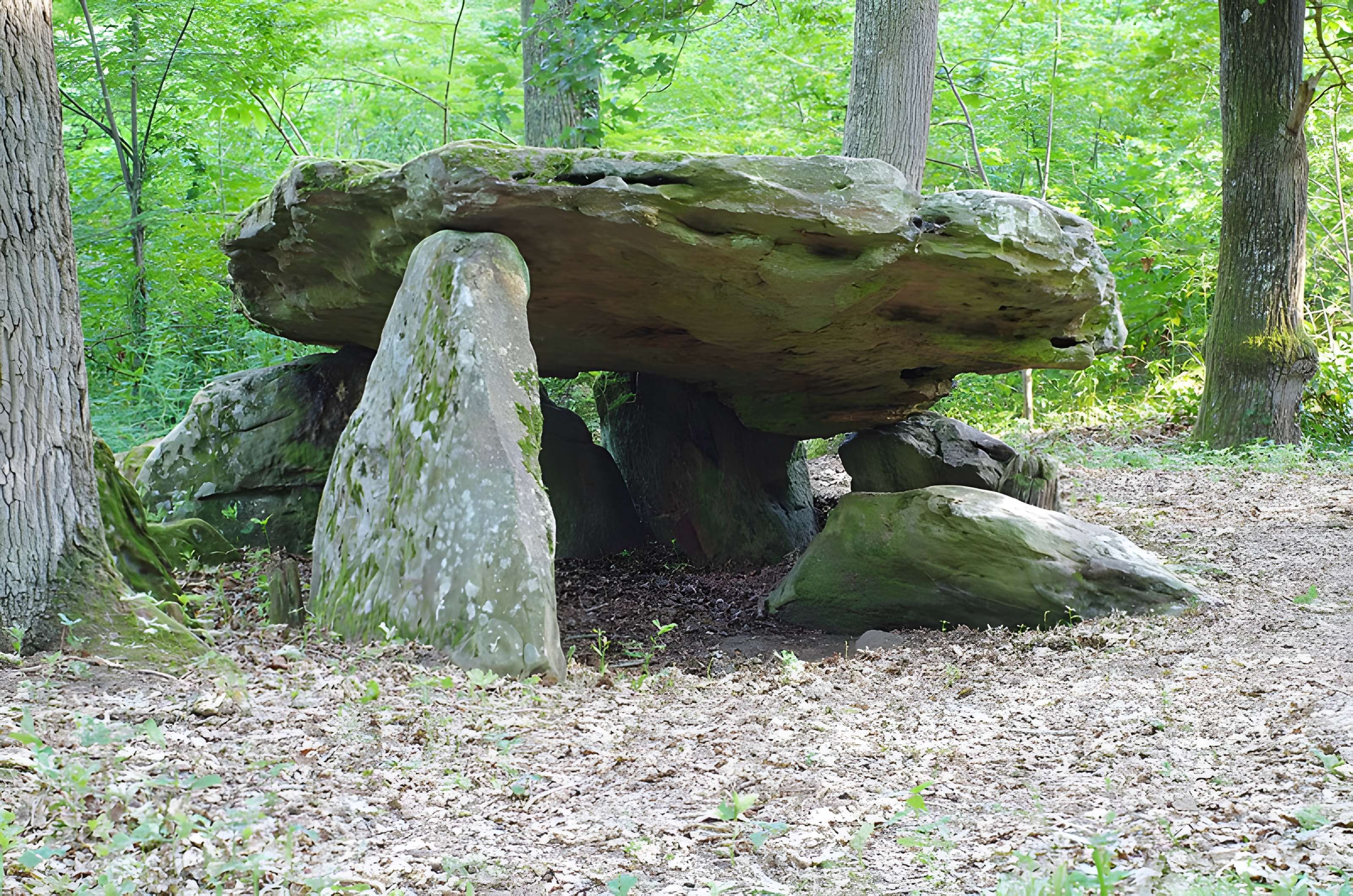 Pierre couverte de Bué à Bagneux