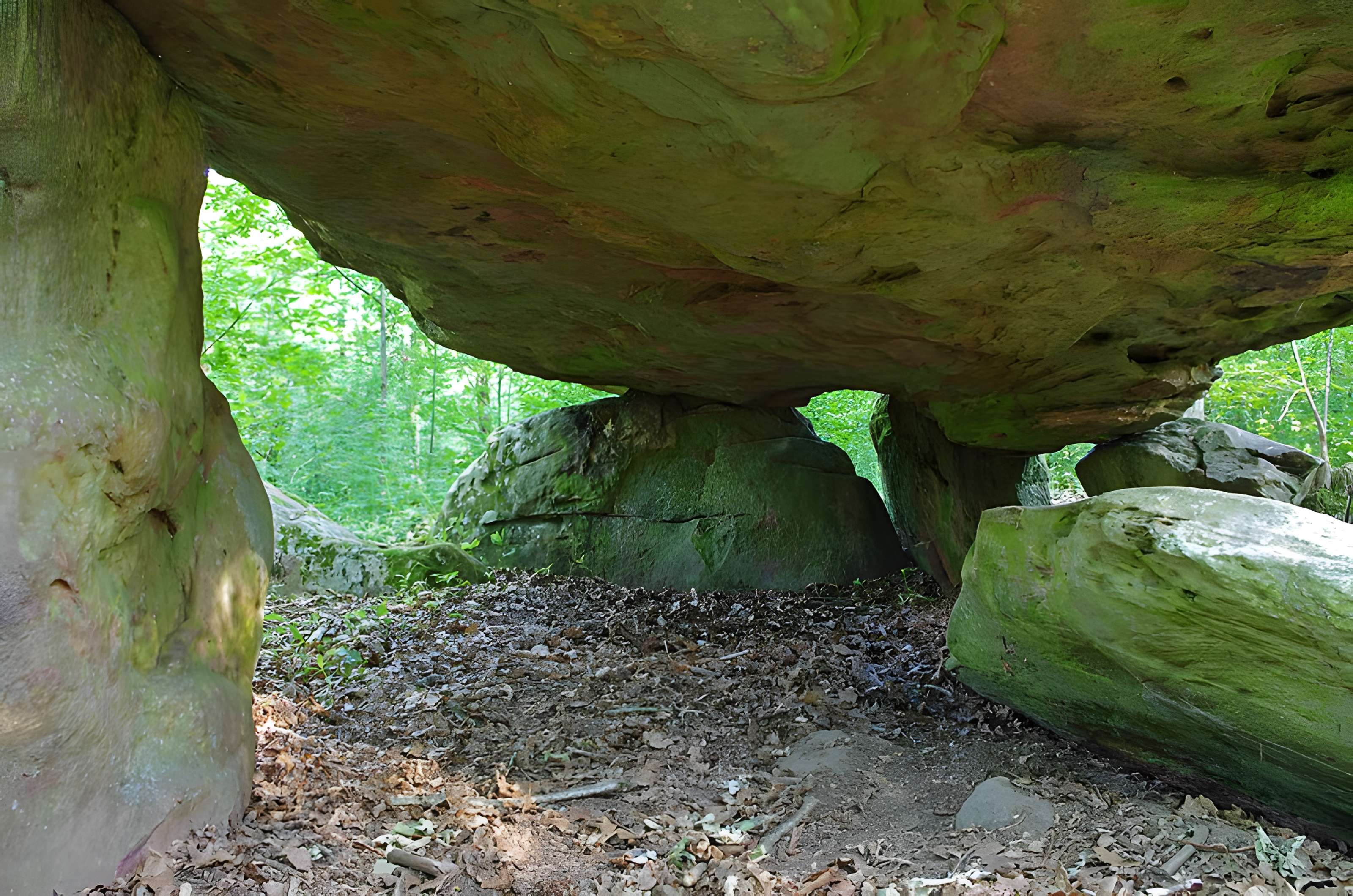 Pierre couverte de Bué à Bagneux