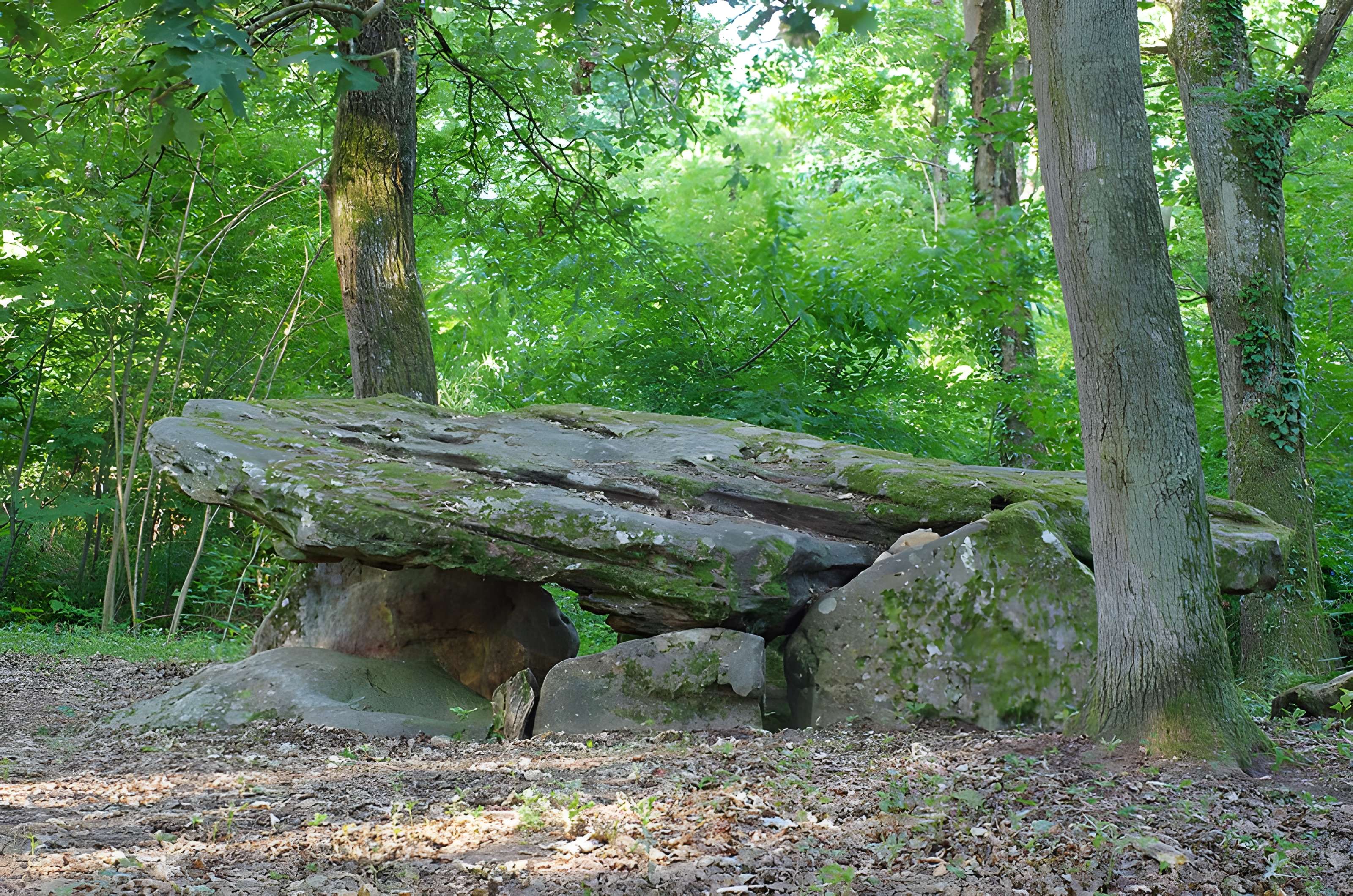 Pierre couverte de Bué à Bagneux