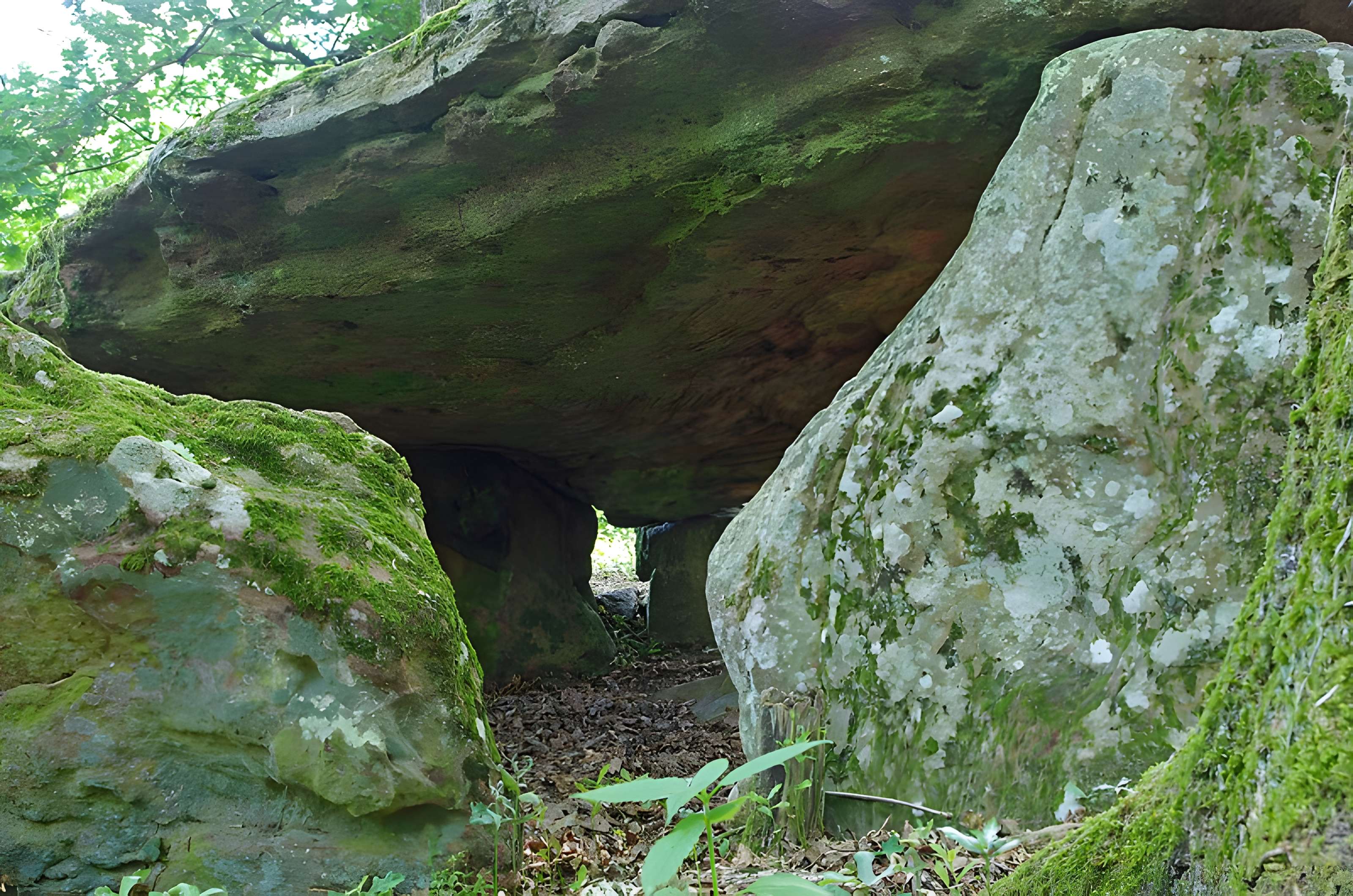 Pierre couverte de Bué à Bagneux