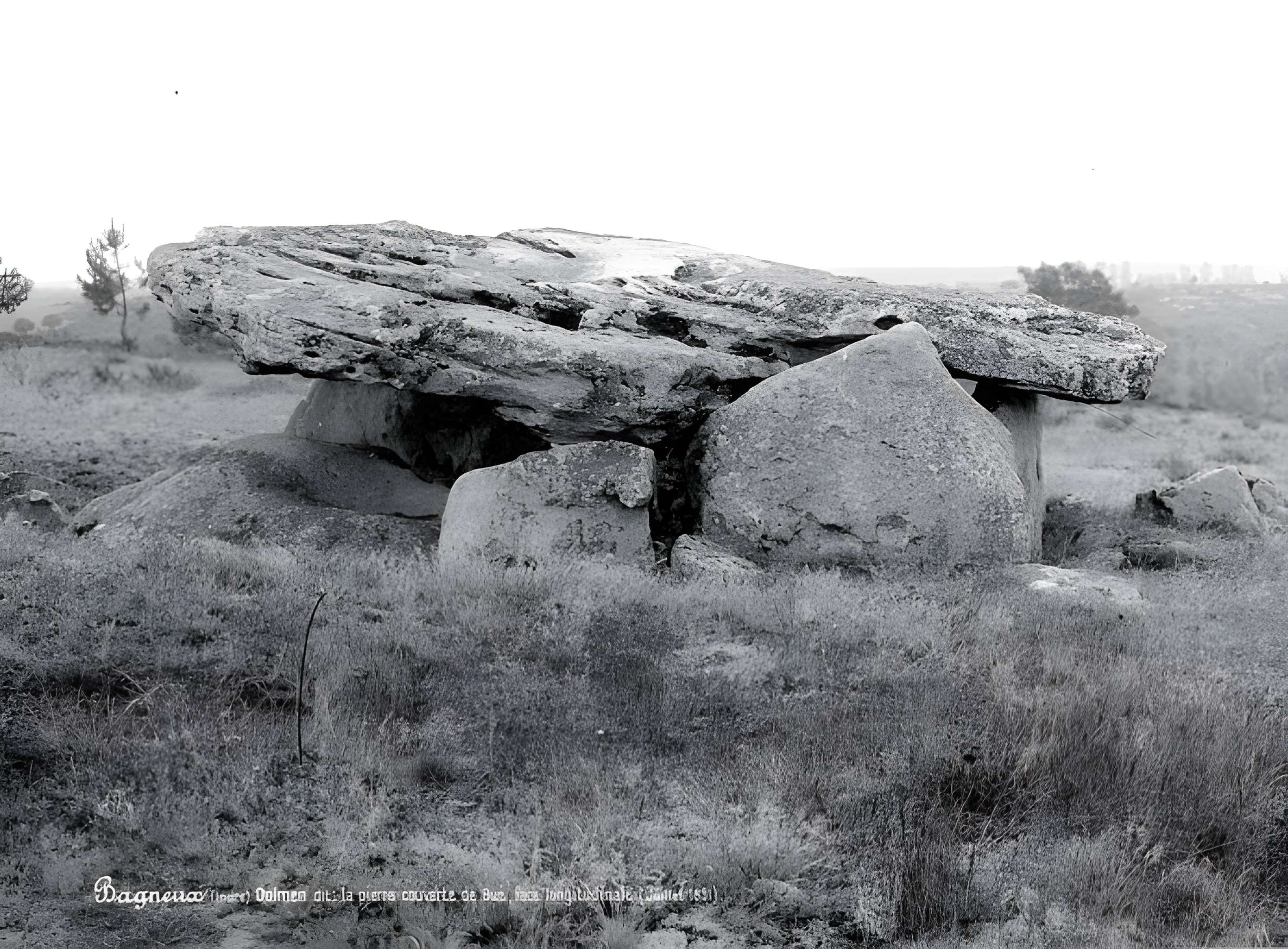 Pierre couverte de Bué à Bagneux