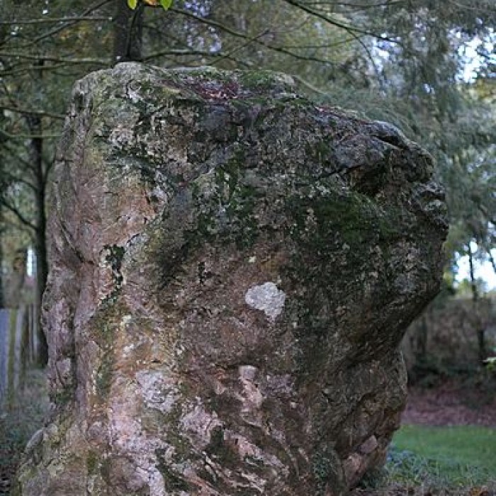 Photo de Pierre de Richebourg de Retiers